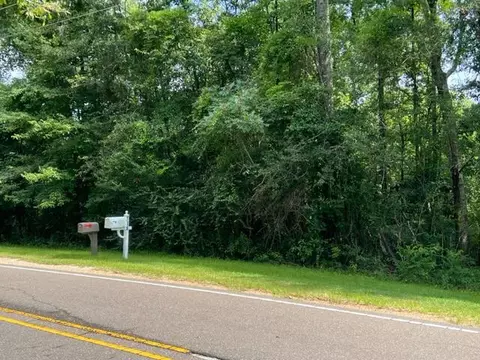 734 Epley Rd, Sumrall, MS 39482 photo 4