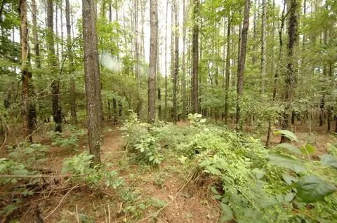00 Johnson Rd, Oak Vale, MS 39656 photo 6