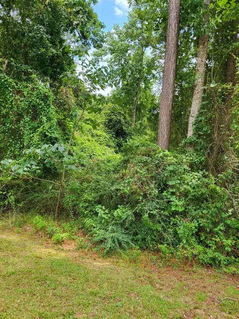 lot70 Lakeside Dr, Carriere, MS 39426