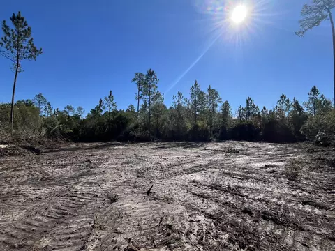 00 Elmer Hamilton Rd, Moss Point, MS 39555 photo 4