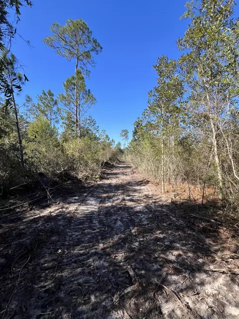 00 Elmer Hamilton Rd, Moss Point, MS 39555 photo 8
