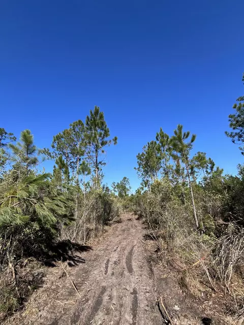 00 Elmer Hamilton Rd, Moss Point, MS 39555 photo 9