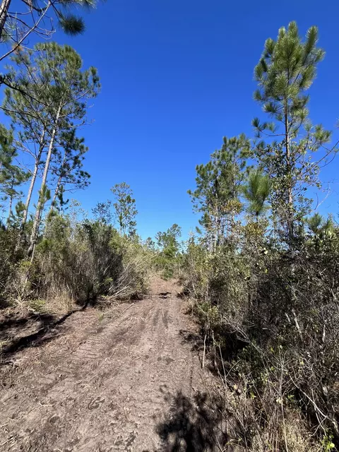00 Elmer Hamilton Rd, Moss Point, MS 39555 photo 10