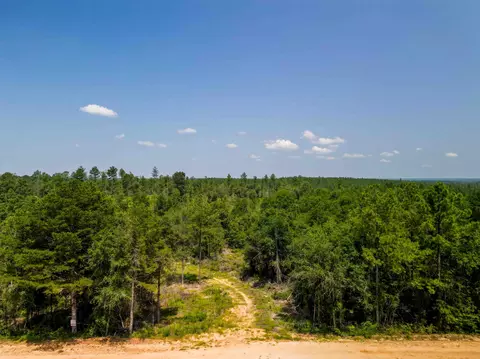 lot16 Robert Moore Rd, Enterprise, MS 39330 photo 4