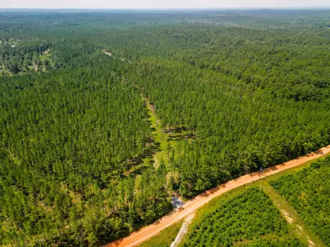 lot3 Robert Moore Rd, Enterprise, MS 39330 photo 6