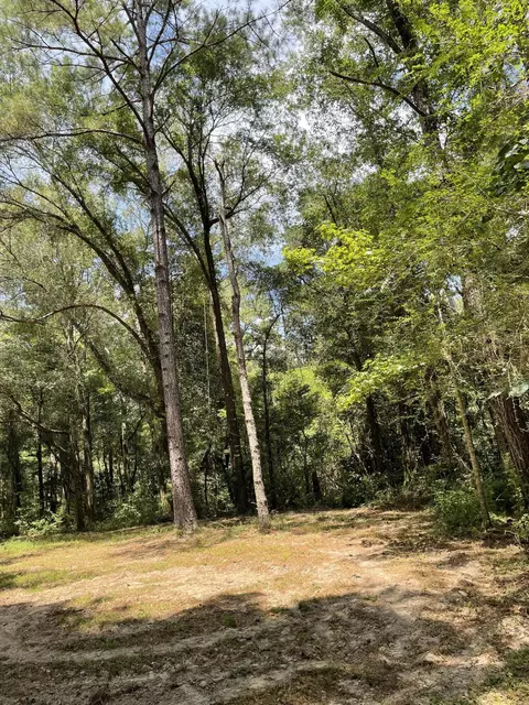 0 Private Rd, Purvis, MS 39475 photo 22