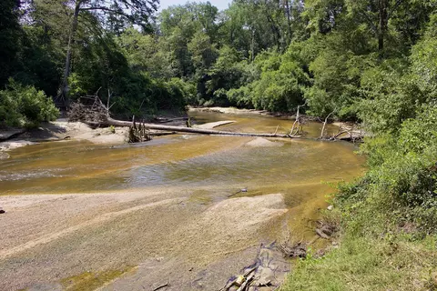 0 Private Rd, Purvis, MS 39475 photo 9