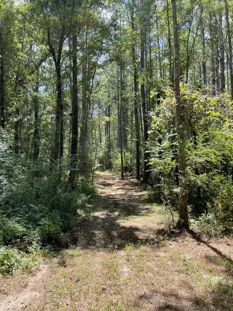 0 Private Rd, Purvis, MS 39475 photo 24