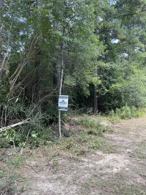 0 Private Rd, Purvis, MS 39475 photo 13