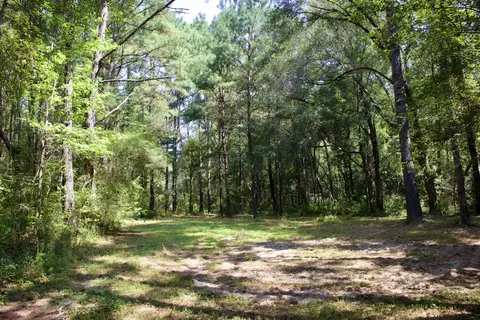 0 Private Rd, Purvis, MS 39475 photo 20