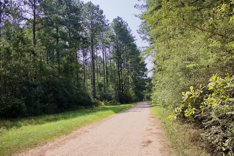 0 Private Rd, Purvis, MS 39475 photo 27