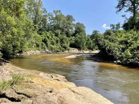 0 Private Rd, Purvis, MS 39475 photo 16