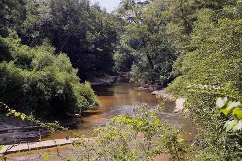 0 Private Rd, Purvis, MS 39475 photo 8