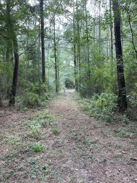 0 Private Rd, Purvis, MS 39475 photo 12