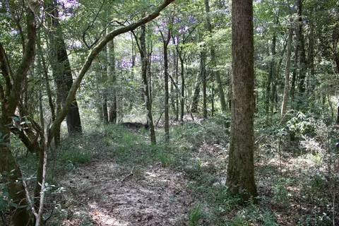 0 Private Rd, Purvis, MS 39475 photo 25