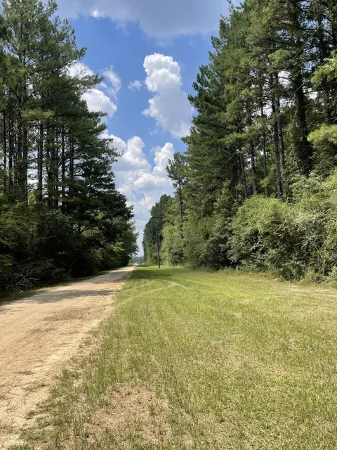 0 Private Rd, Purvis, MS 39475 photo 15