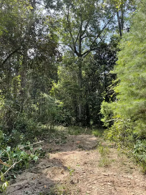 0 Private Rd, Purvis, MS 39475 photo 26