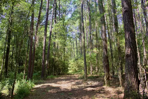 0 Private Rd, Purvis, MS 39475 photo 18