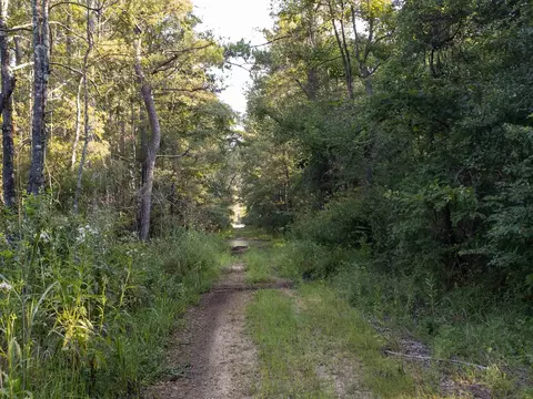 40 Ac - Mt Carmel Church Rd, Foxworth, MS 39483