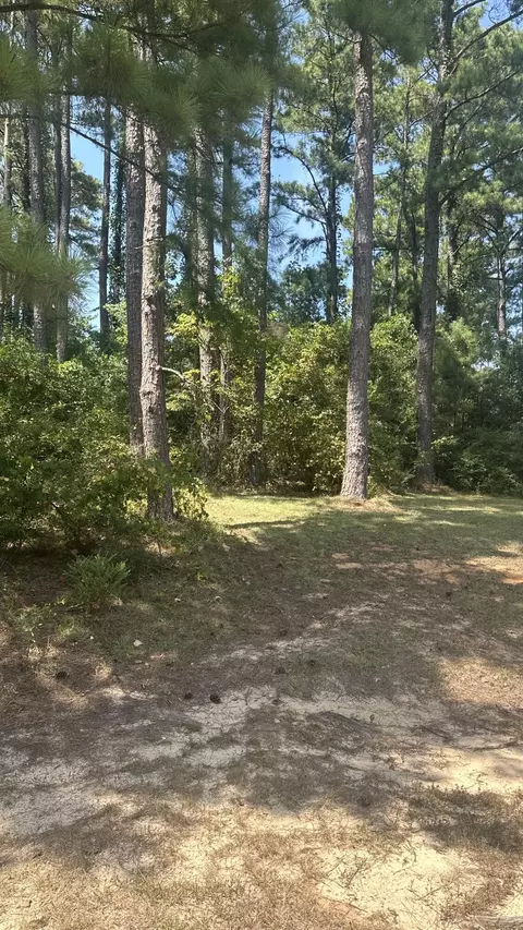 Lot 304 Norrell Drive, Petal, MS 39465