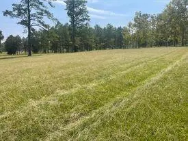 lot Apt 1 Off Of County Home Rd, Ellisville, MS 39437