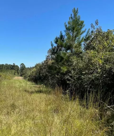 0 Hwy 42, Prentiss, MS 39474