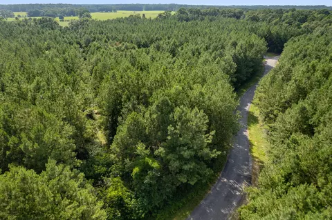 4 83 Acres Progress Trl, Sumrall, MS 39482 photo 11