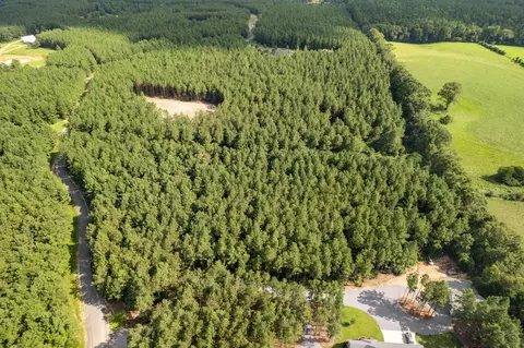 4 83 Acres Progress Trl, Sumrall, MS 39482 photo 14