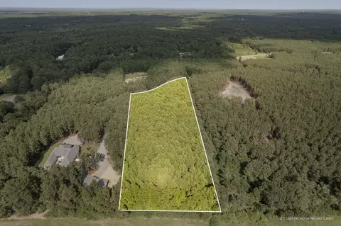 4 83 Acres Progress Trl, Sumrall, MS 39482 photo 5