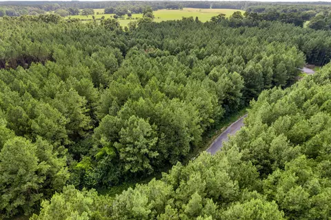 4 83 Acres Progress Trl, Sumrall, MS 39482 photo 12