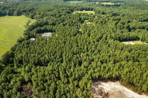 4 83 Acres Progress Trl, Sumrall, MS 39482 photo 18