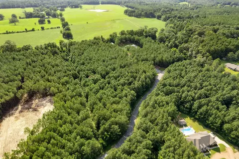 4 83 Acres Progress Trl, Sumrall, MS 39482 photo 16
