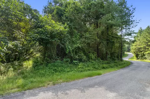 4 83 Acres Progress Trl, Sumrall, MS 39482 photo 9