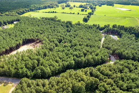4 83 Acres Progress Trl, Sumrall, MS 39482 photo 15