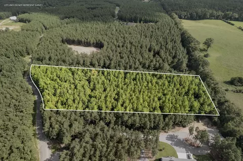 4 83 Acres Progress Trl, Sumrall, MS 39482 photo 3