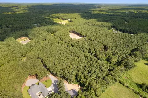 4 83 Acres Progress Trl, Sumrall, MS 39482 photo 13