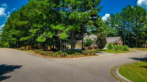 60 Lamplighter Ln, Purvis, MS 39475 photo 12