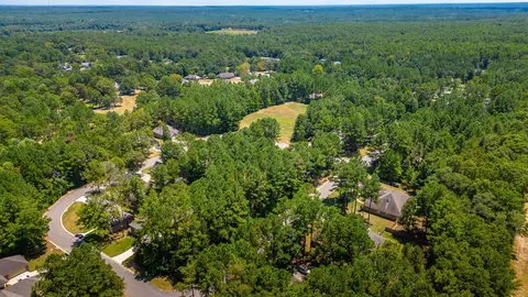 60 Lamplighter Ln, Purvis, MS 39475 photo 60