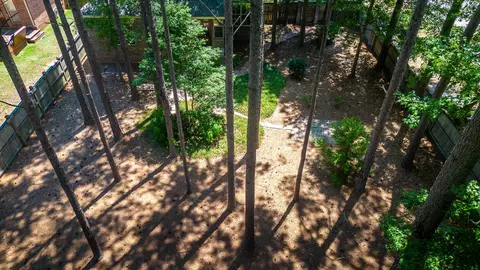 60 Lamplighter Ln, Purvis, MS 39475 photo 52