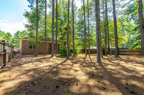 60 Lamplighter Ln, Purvis, MS 39475 photo 47