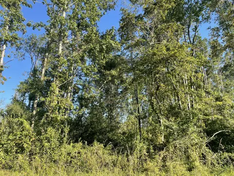 0 Sauls Rdms-27, Jayess, MS 39642 photo 14