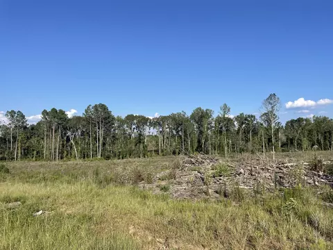 0 Sauls Rdms-27, Jayess, MS 39642 photo 12