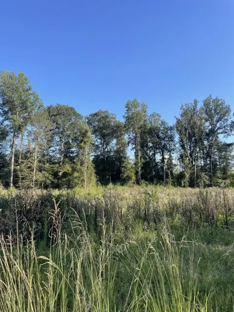 0 Sauls Rdms-27, Jayess, MS 39642 photo 16