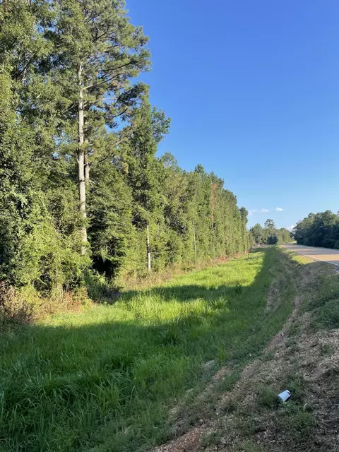 0 Sauls Rdms-27, Jayess, MS 39642 photo 20