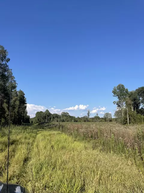 0 Sauls Rdms-27, Jayess, MS 39642 photo 15