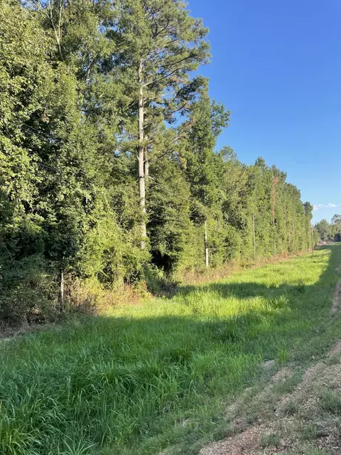 0 Sauls Rdms-27, Jayess, MS 39642 photo 21