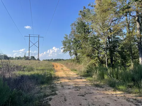 0 Sauls Rdms-27, Jayess, MS 39642 photo 4
