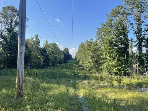 0 Sauls Rdms-27, Jayess, MS 39642 photo 9