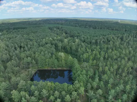 0 Mcneese Rd, Columbia, MS 39429