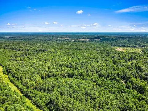 Parcel 3 Runnels Rd., Hazlehurst, MS 39083